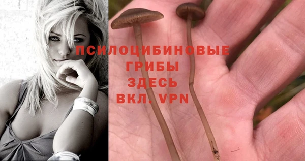 хмурый Белоозёрский