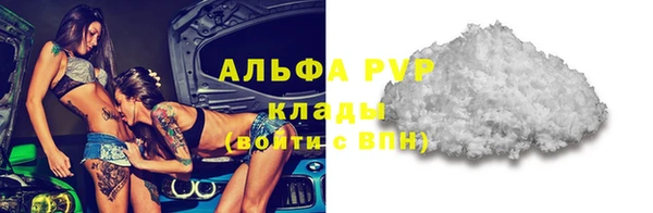 хмурый Белокуриха