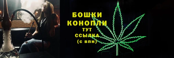 хмурый Белокуриха
