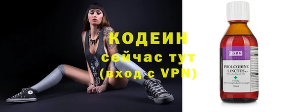 хмурый Белокуриха