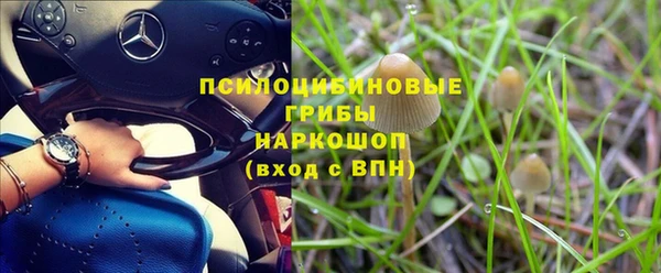 хмурый Белоозёрский